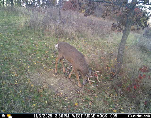 N35194 Przybilla Road Independence, WI 54747 - Photo 31 of 62
