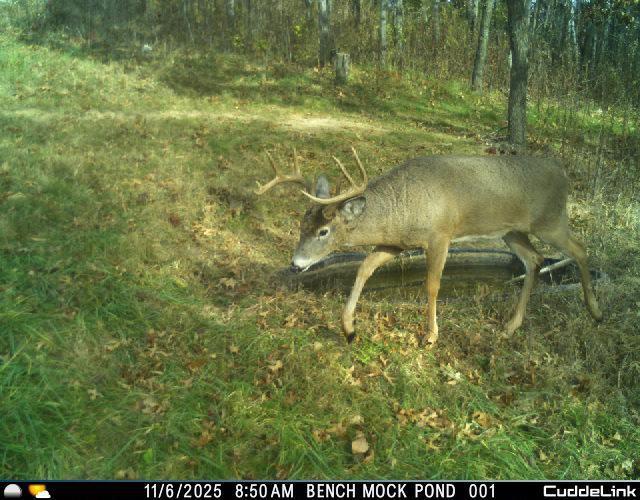 N35194 Przybilla Road Independence, WI 54747 - Photo 34 of 62