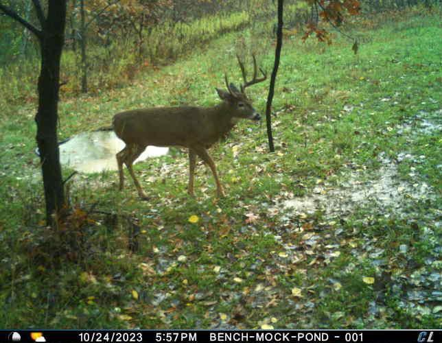 N35194 Przybilla Road Independence, WI 54747 - Photo 36 of 62