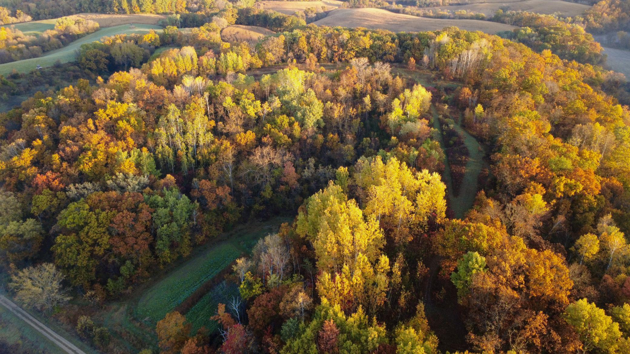 N35194 Przybilla Road Independence, WI 54747 - Photo 4 of 62