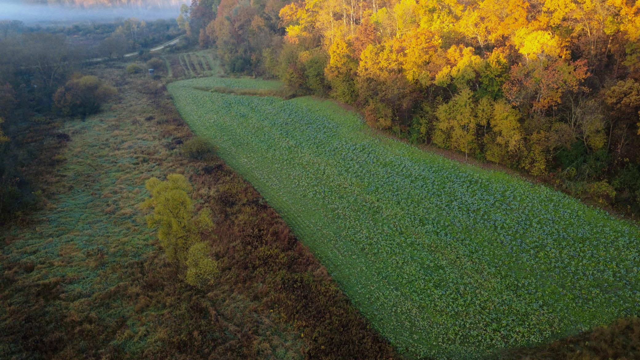 N35194 Przybilla Road Independence, WI 54747 - Photo 43 of 62