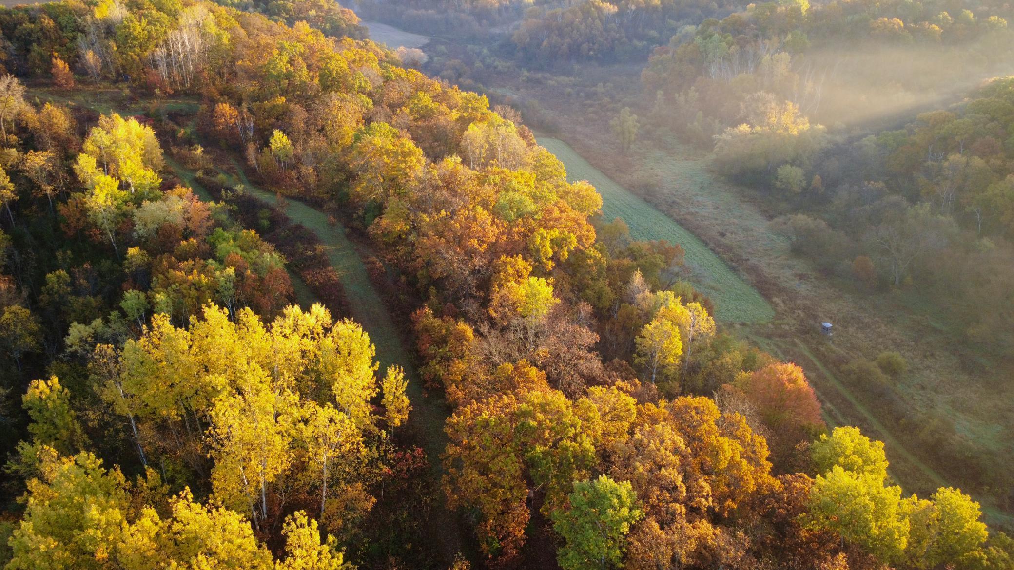 N35194 Przybilla Road Independence, WI 54747 - Photo 44 of 62