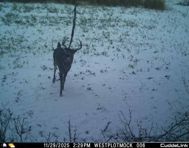 N35194 Przybilla Road Independence, WI 54747 - Photo 49 of 62