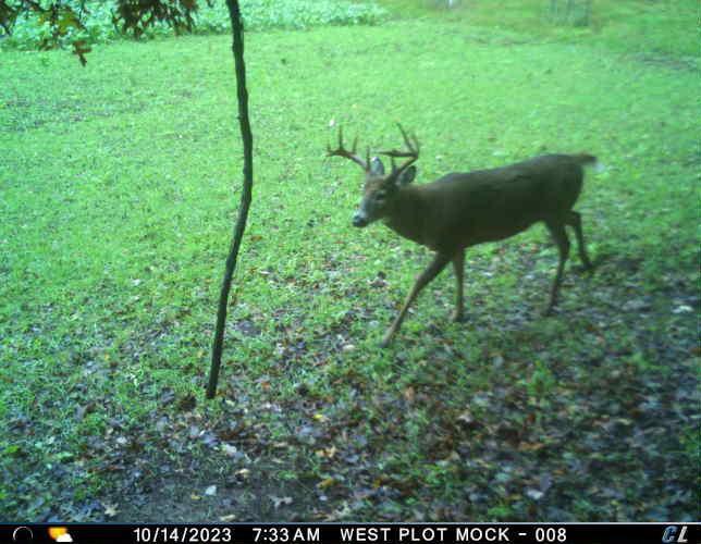 N35194 Przybilla Road Independence, WI 54747 - Photo 51 of 62