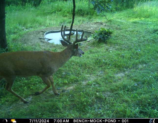 N35194 Przybilla Road Independence, WI 54747 - Photo 56 of 62