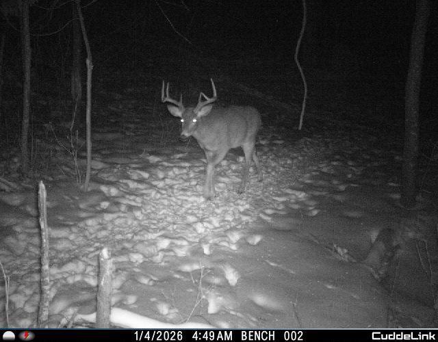 N35194 Przybilla Road Independence, WI 54747 - Photo 57 of 62