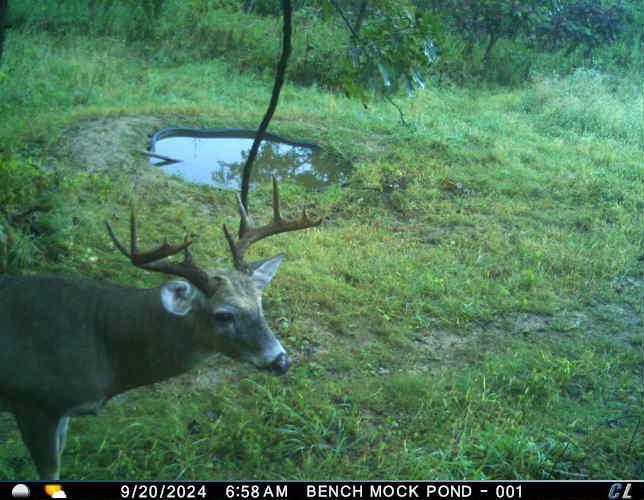 N35194 Przybilla Road Independence, WI 54747 - Photo 58 of 62