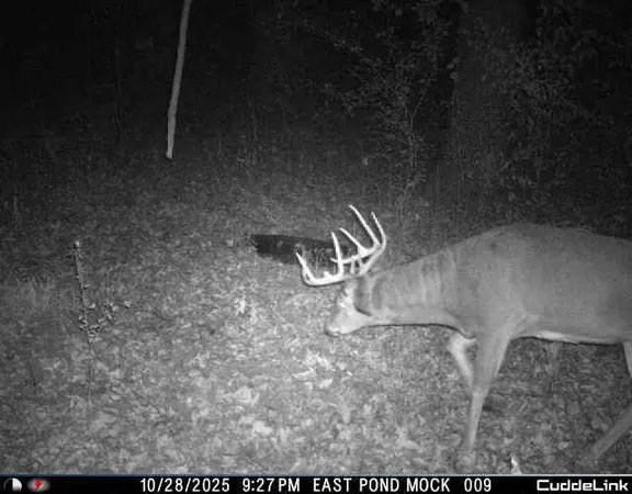 $275,000 | N35194 Przybilla Road, Independence, WI 54747