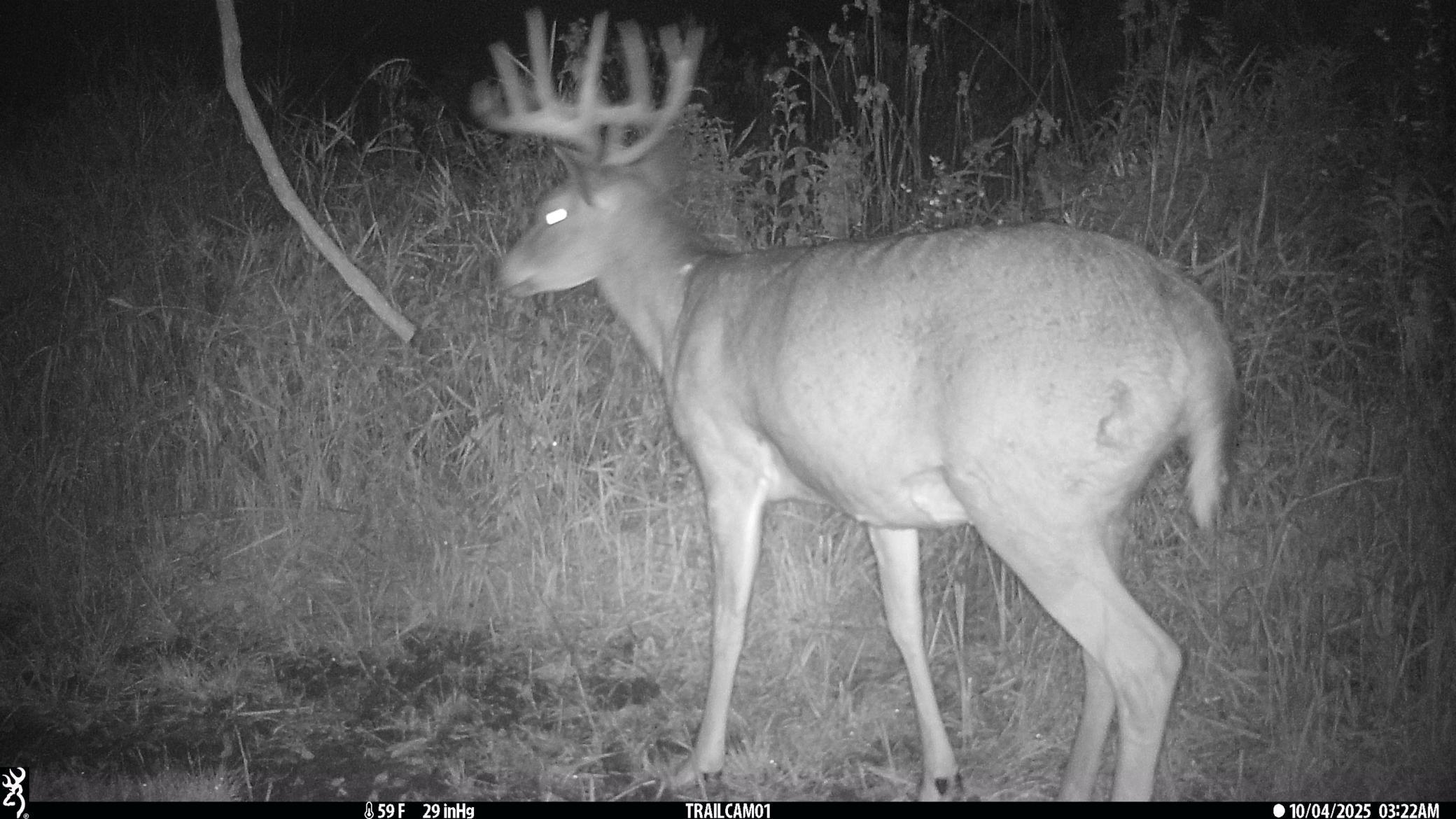 N35194 Przybilla Road Independence, WI 54747 - Photo 60 of 62