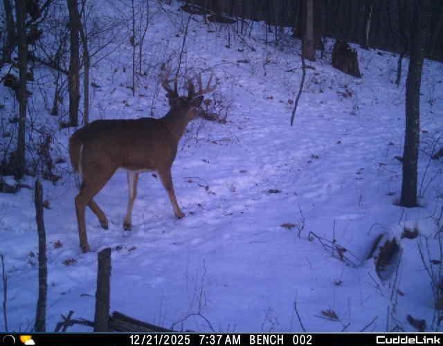 N35194 Przybilla Road Independence, WI 54747 - Photo 6 of 62