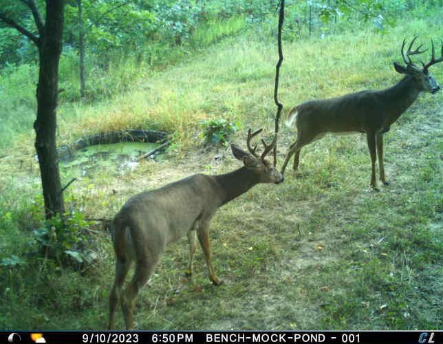 N35194 Przybilla Road Independence, WI 54747 - Photo 61 of 62
