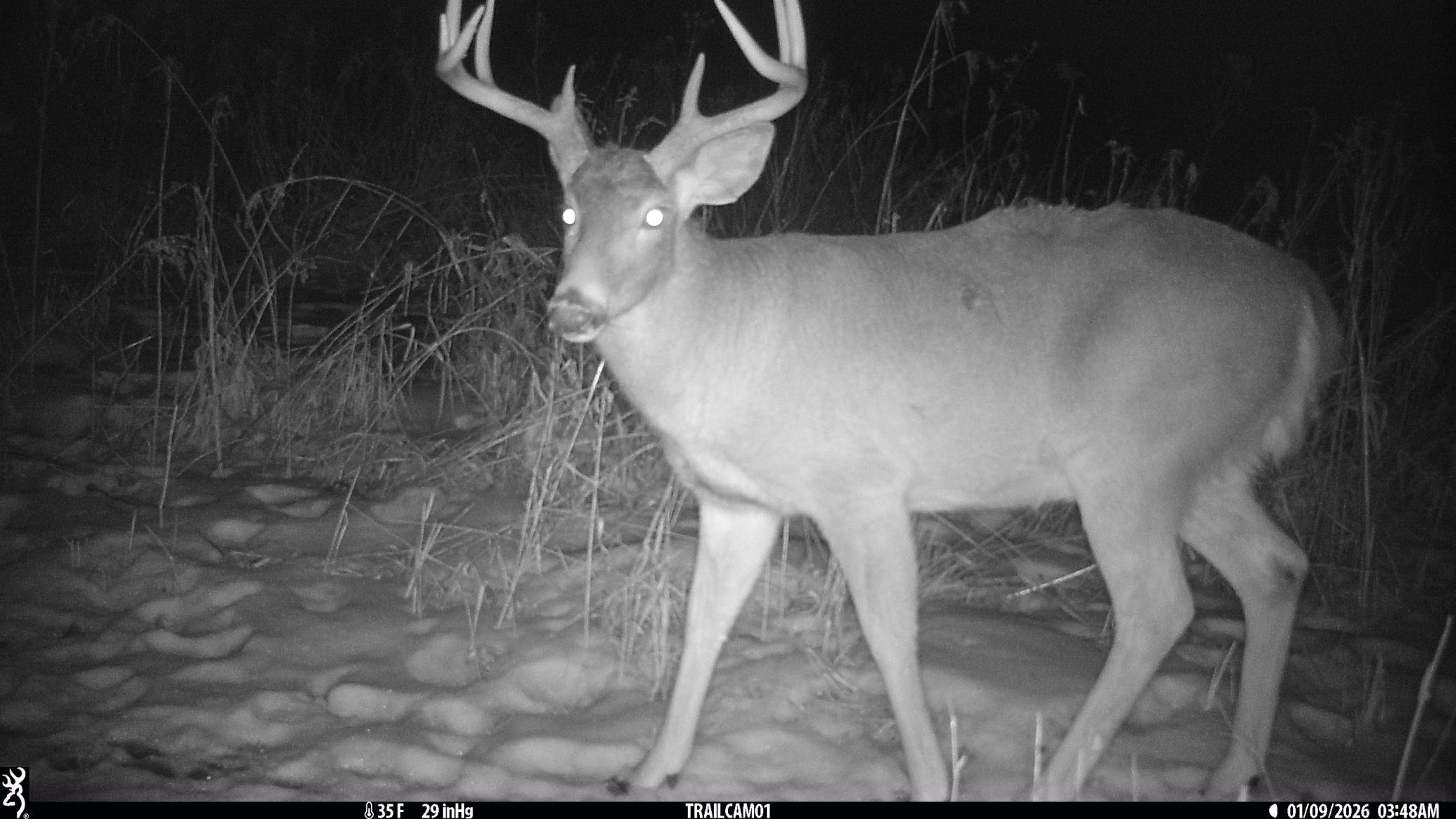 N35194 Przybilla Road Independence, WI 54747 - Photo 62 of 62