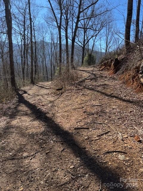 Tbd Sorrells Creek Road Canton, NC 28716 - Photo 13 of 22 a view of a backyard of the house