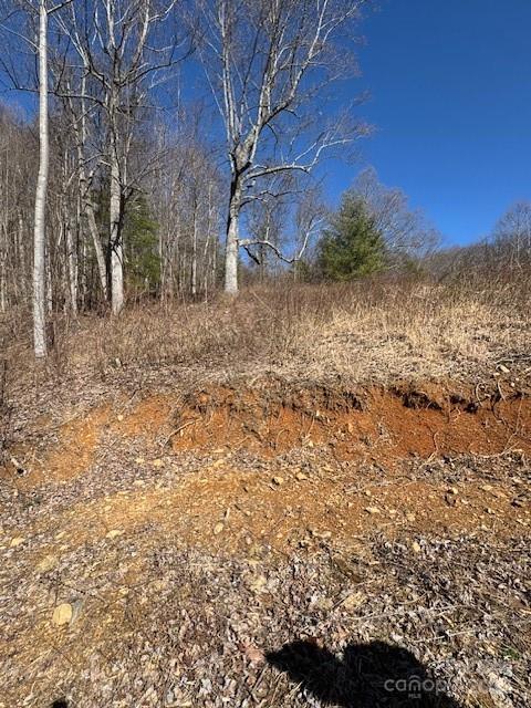 Tbd Sorrells Creek Road Canton, NC 28716 - Photo 14 of 22 a view of a dry yard with trees