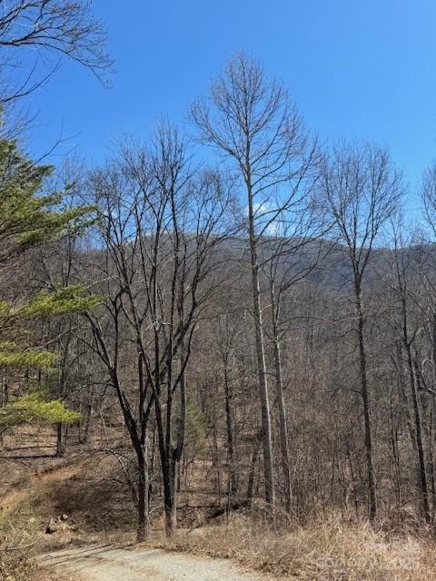 Tbd Sorrells Creek Road Canton, NC 28716 - Photo 15 of 22 a view of a forest filled with trees