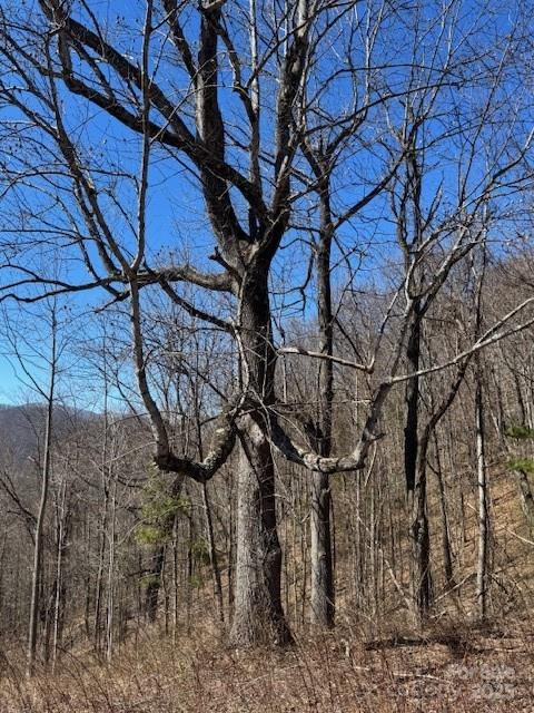 Tbd Sorrells Creek Road Canton, NC 28716 - Photo 16 of 22 a backyard of a house with lots of green space