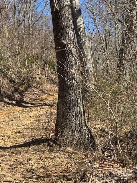Tbd Sorrells Creek Road Canton, NC 28716 - Photo 19 of 22