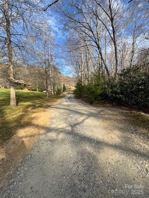 Tbd Sorrells Creek Road Canton, NC 28716 - Photo 20 of 22 a view of a yard with a tree