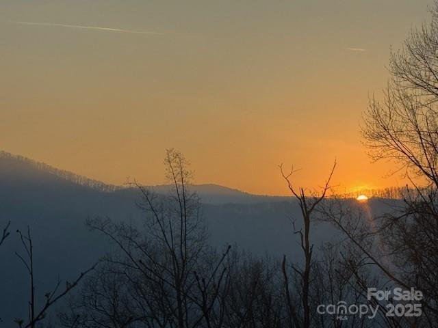 Tbd Sorrells Creek Road Canton, NC 28716 - Photo 3 of 22 a view of a yard
