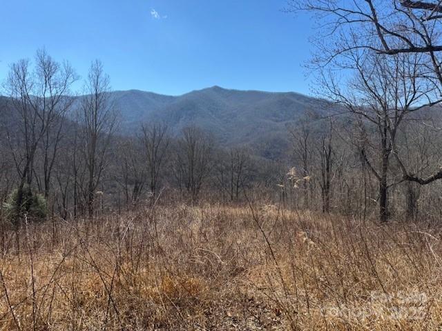 Tbd Sorrells Creek Road Canton, NC 28716 - Photo 4 of 22 a view of a dry yard