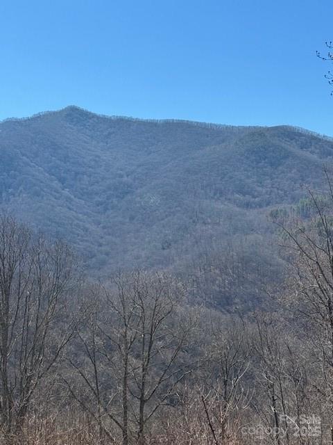 Tbd Sorrells Creek Road Canton, NC 28716 - Photo 5 of 22 a view of a dry yard