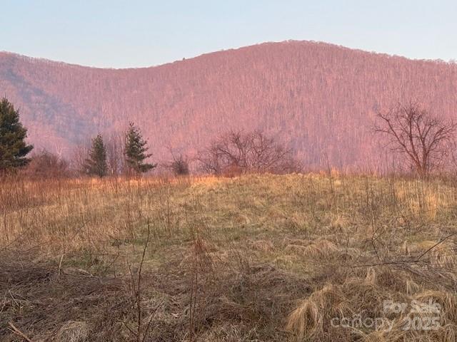 Tbd Sorrells Creek Road Canton, NC 28716 - Photo 7 of 22 a view of a dry yard with mountains in the background