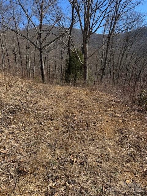 Tbd Sorrells Creek Road Canton, NC 28716 - Photo 8 of 22