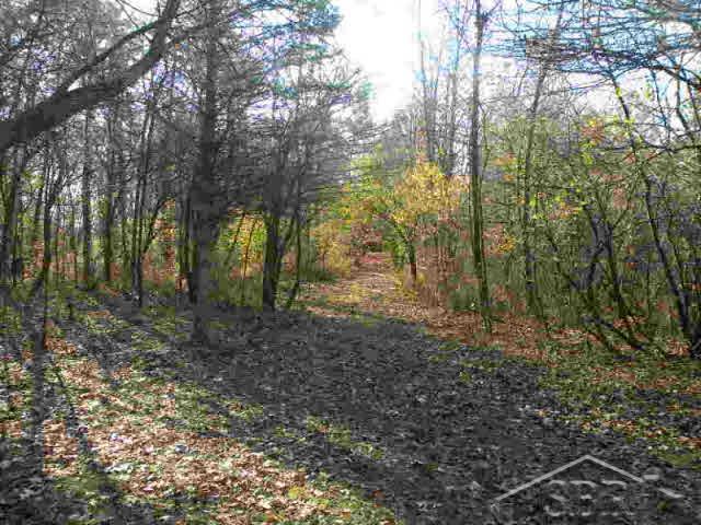 8720 Ederer Road Saginaw, MI 48609 - Photo 10 of 14 20106135-9.JPG