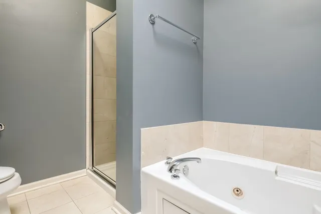 a bathroom with a bathtub and a toilet
