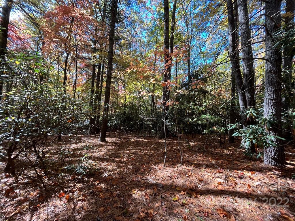 Tbd Hemlock Rdg Trail, Unit 1 Pisgah Forest, NC 28768 - Photo 1 of 6 a backyard of a house with lots of green space