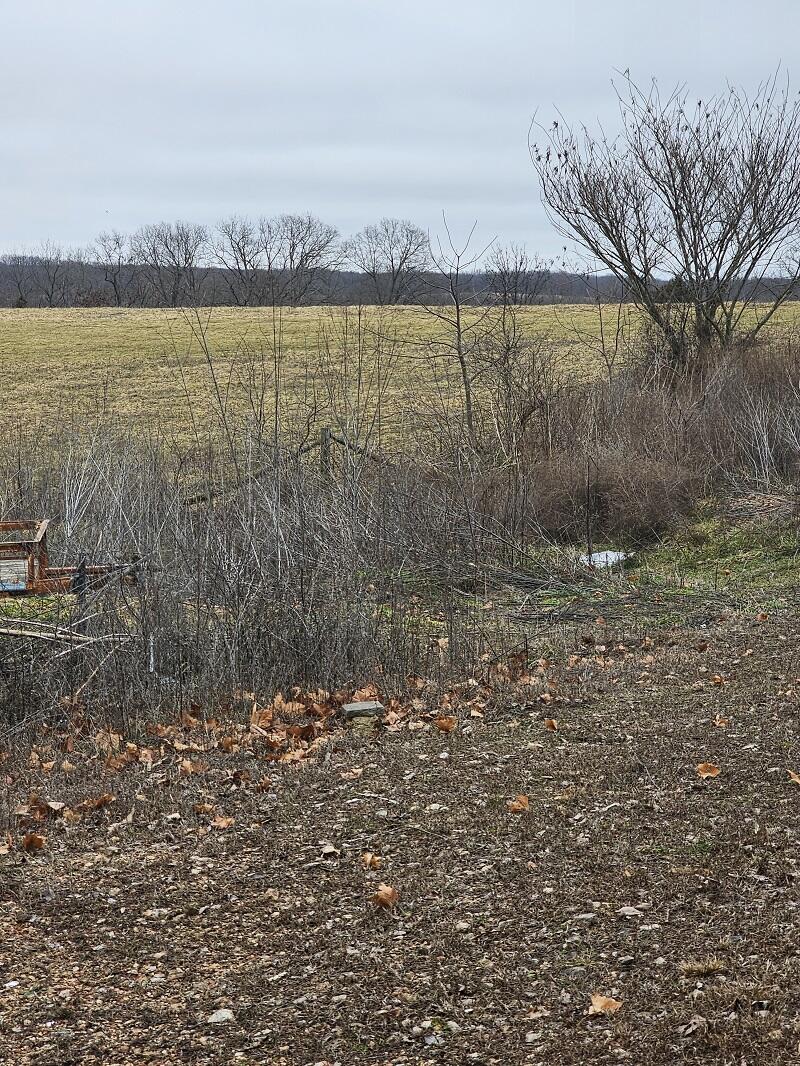 5620 Silver Lake Road Clever, MO 65631 - Photo 5 of 9 Pasture