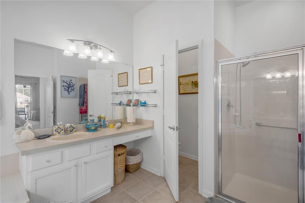 19015 Fern Meadow Loop Lutz, FL 33558 - Photo 25 of 50 a bathroom with a double vanity sink mirror and shower