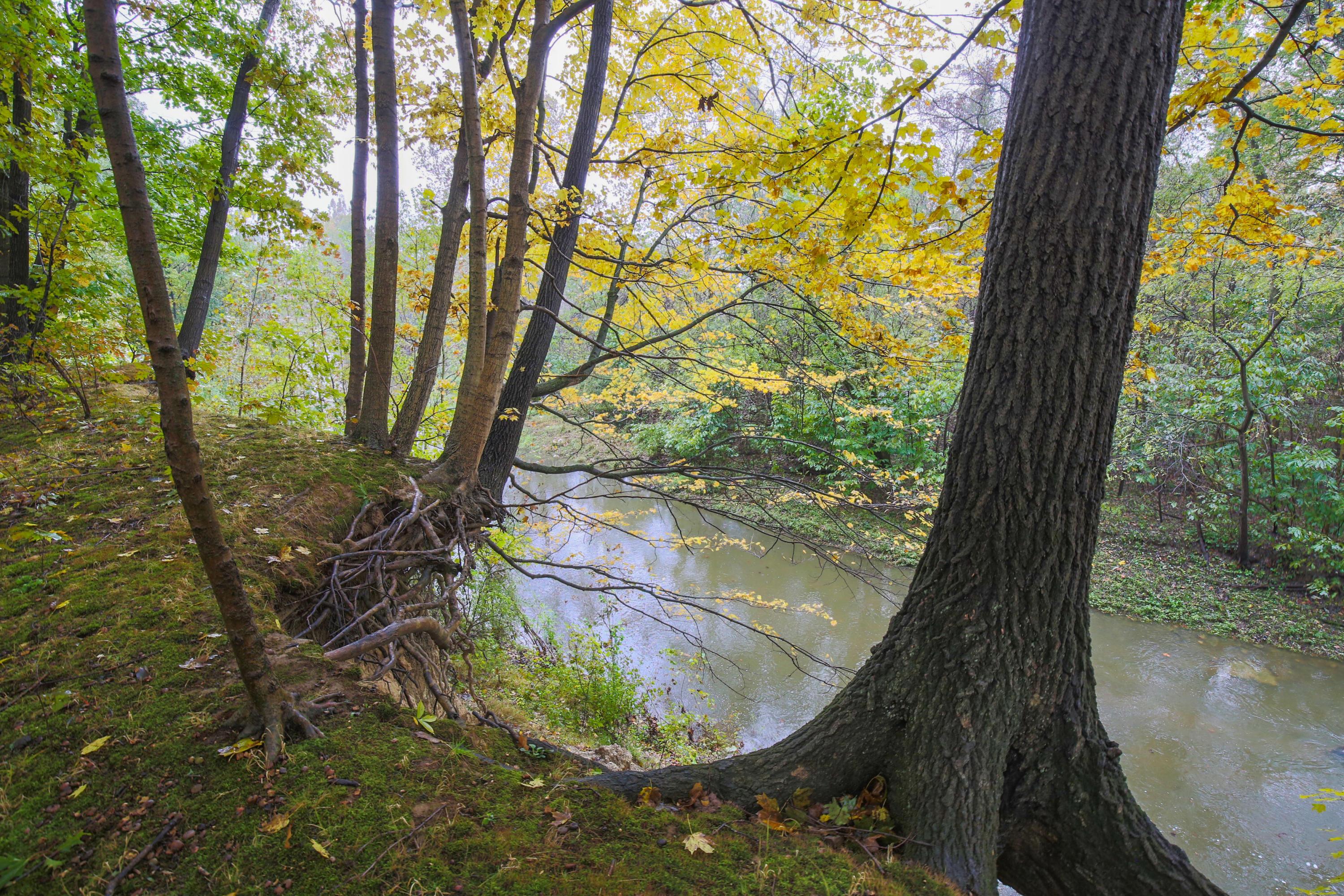 6745 Refugee Road Southwest Etna, OH 43062 - Photo 72 of 93