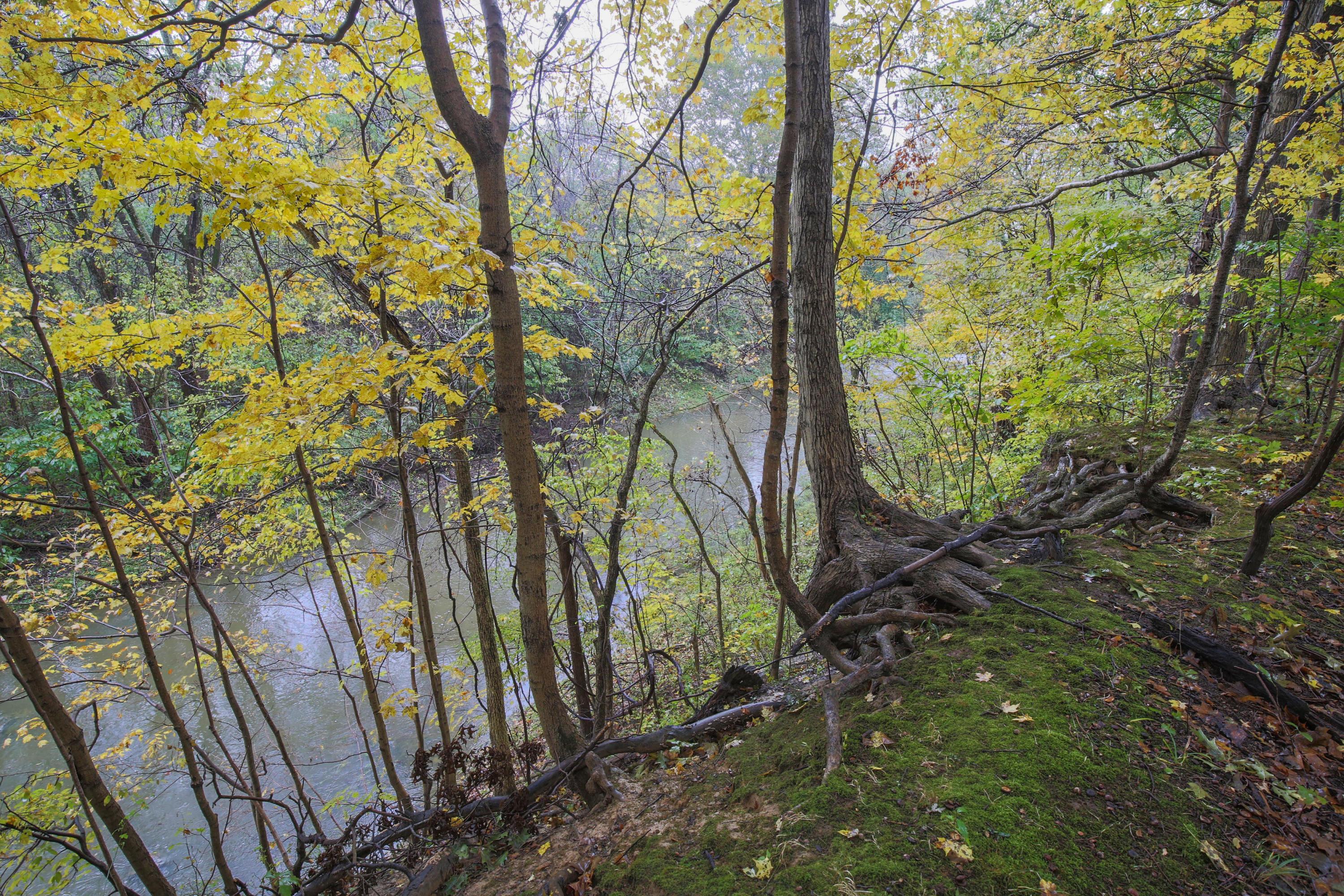 6745 Refugee Road Southwest Etna, OH 43062 - Photo 73 of 93