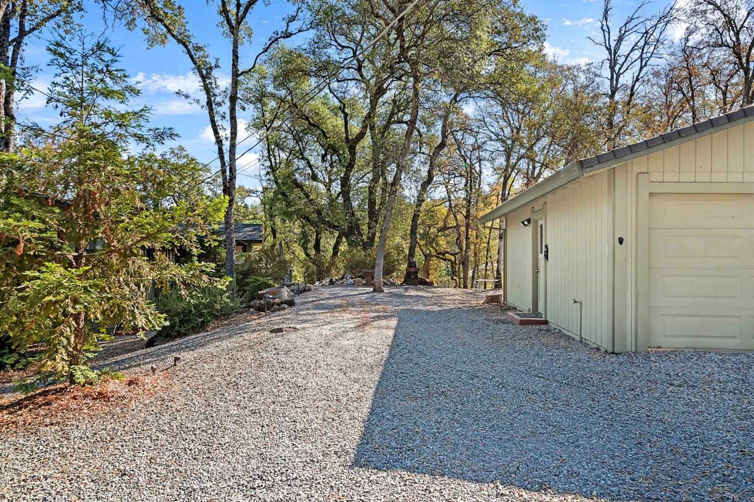 2505 Muir Court Cool, CA 95614 - Photo 26 of 56 a view of a backyard of the house