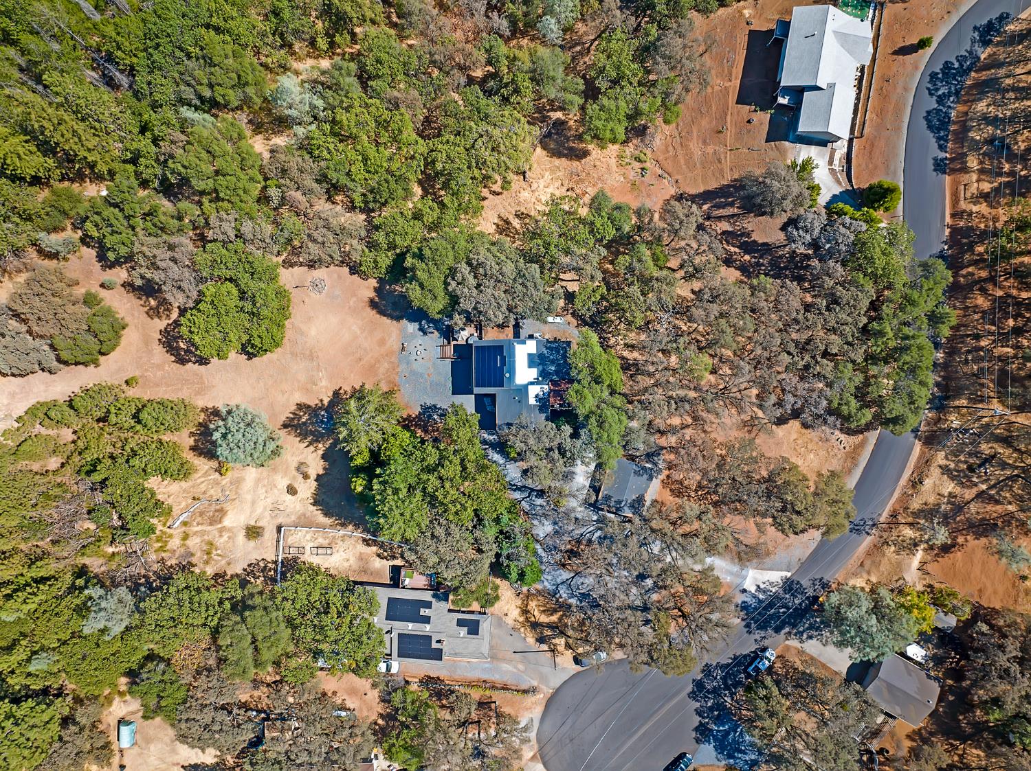 2505 Muir Court Cool, CA 95614 - Photo 42 of 56 a view of a garden with lawn chairs under an umbrella