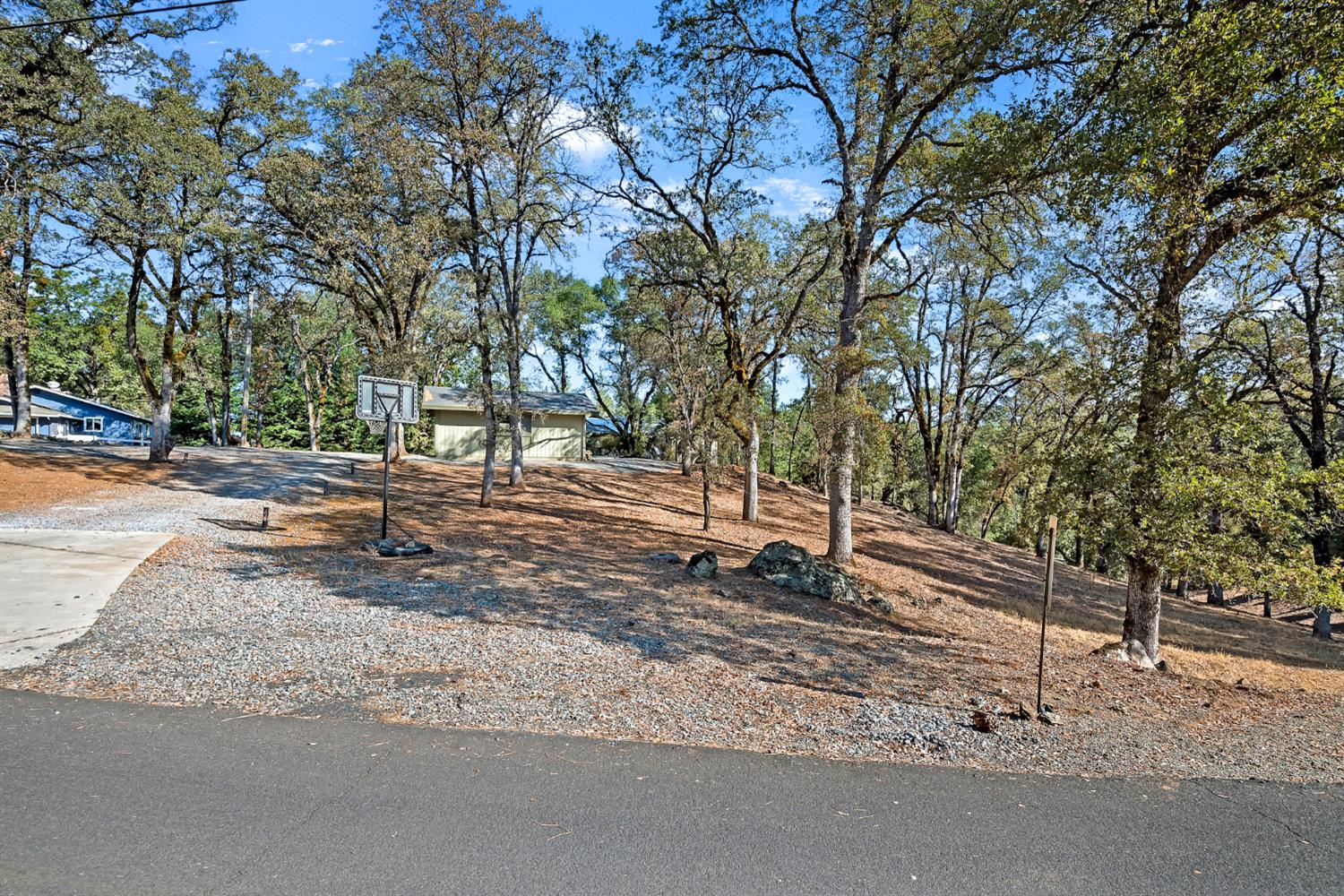 2505 Muir Court Cool, CA 95614 - Photo 43 of 56 a backyard of a house with lots of trees