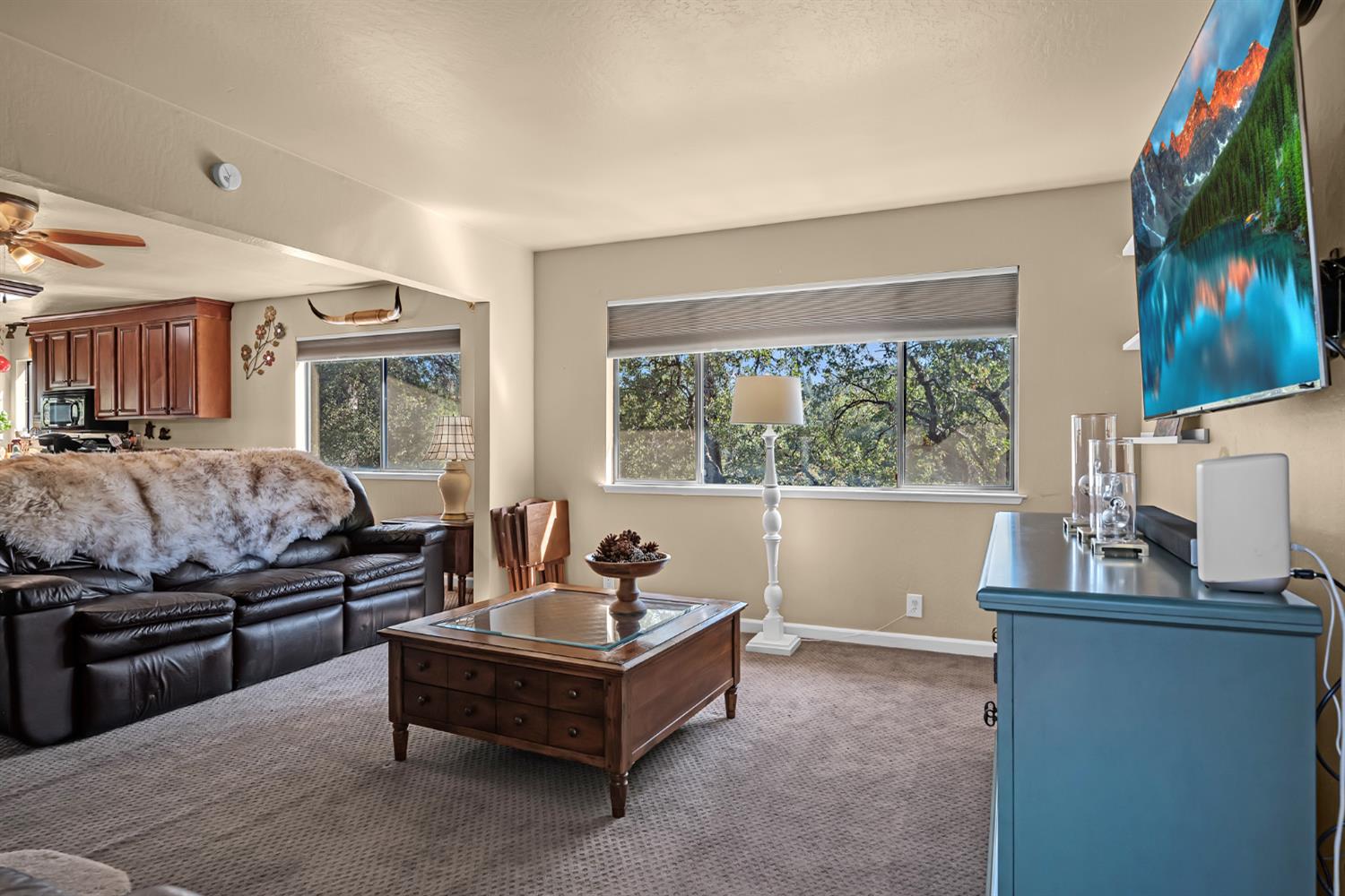 2505 Muir Court Cool, CA 95614 - Photo 8 of 56 a living room with furniture and a flat screen tv