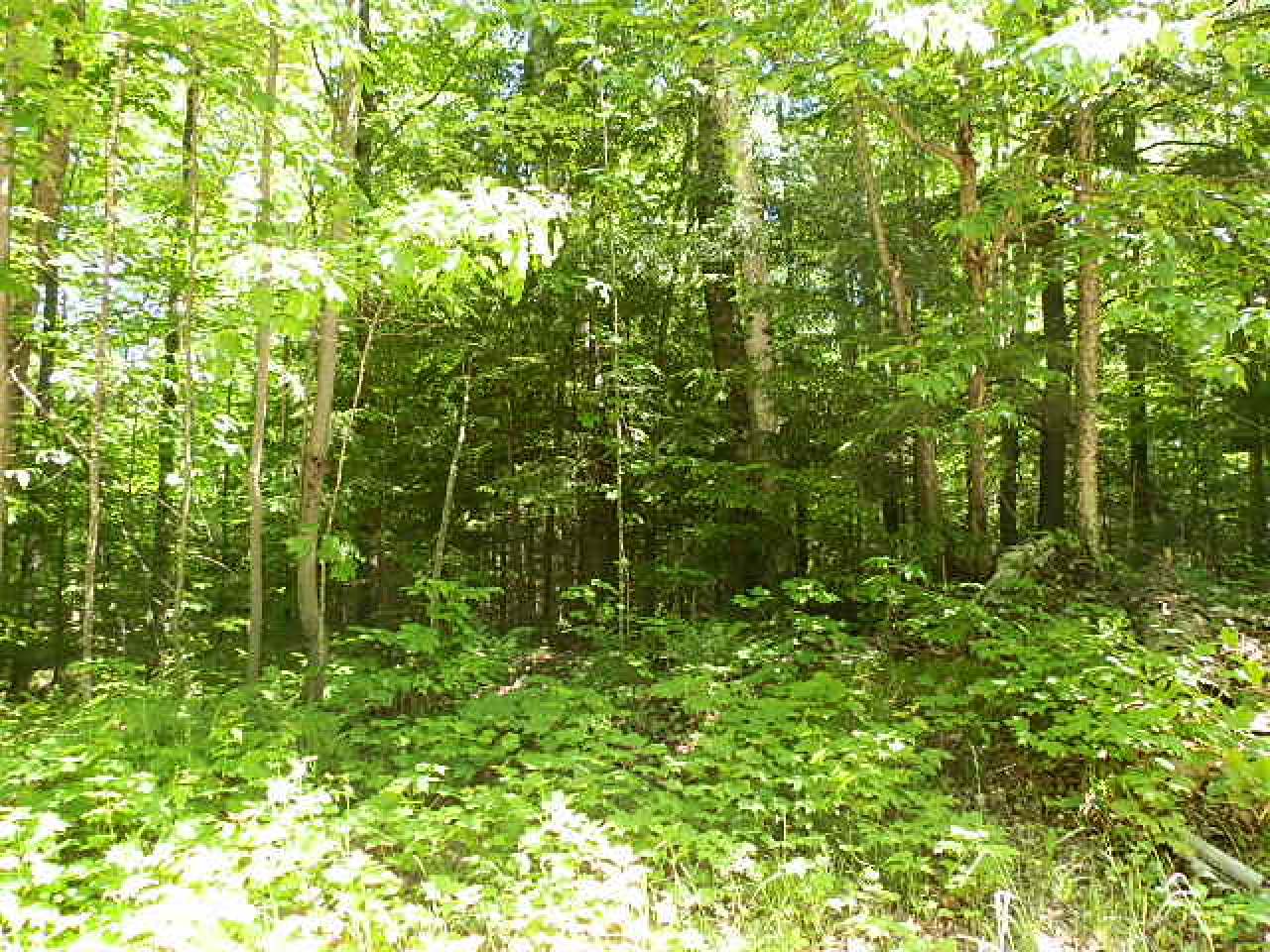 On Gerber Road Park Falls, WI 54552 - Photo 2 of 12 Gallery Image 2