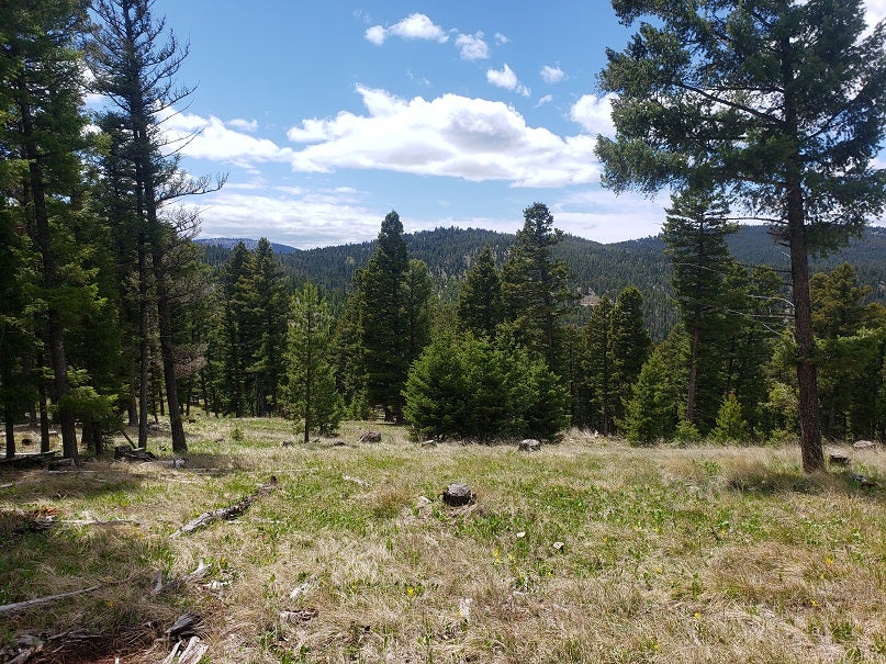 513 Spruce Gulch Road Gold Creek, MT 59733 - Photo 33 of 33 Gallery Image 33