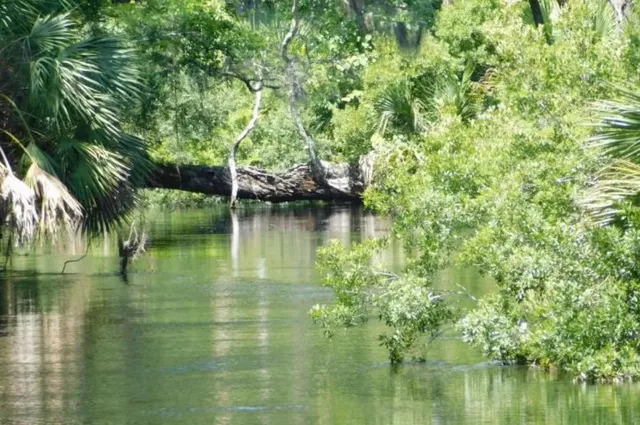 $199,900 | 6010 County Road 14-A, Greenville, FL 32331