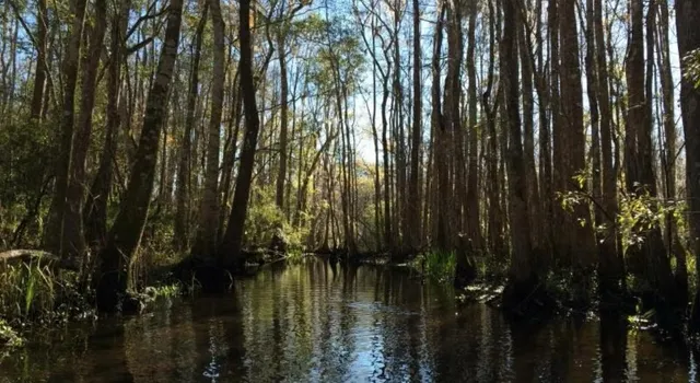 $199,900 | 6010 County Road 14-A, Greenville, FL 32331