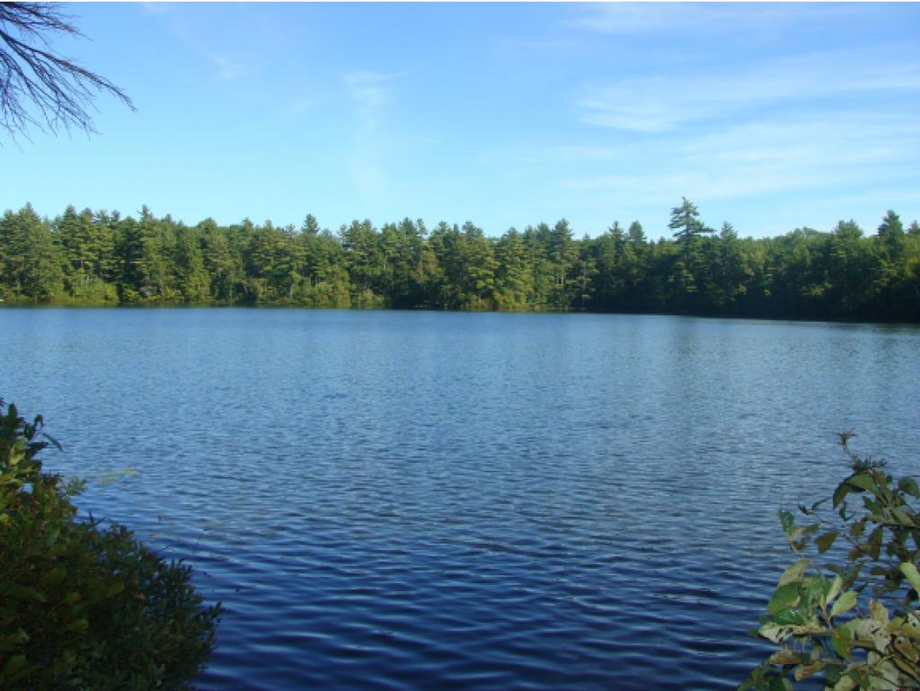 65 Moose Pond Road Acton, ME 04001 - Photo 15 of 25