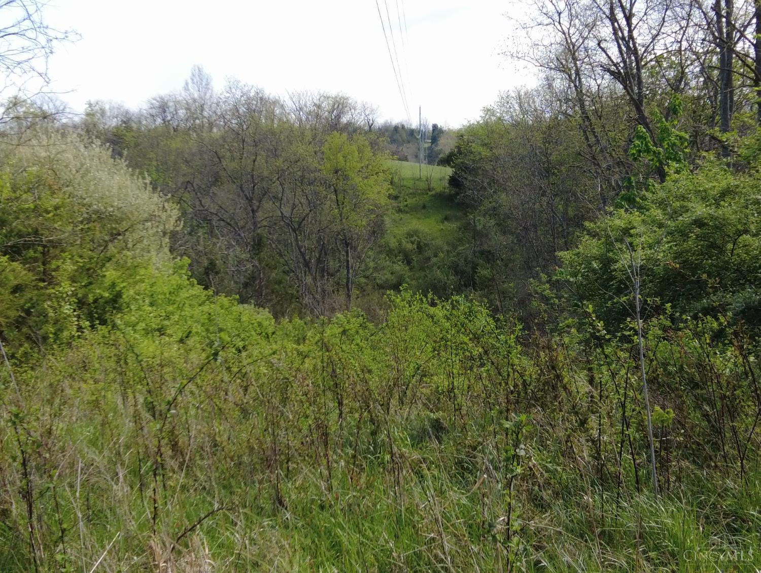 9951 Fishing Gut Road Aberdeen, OH 45101 - Photo 24 of 50