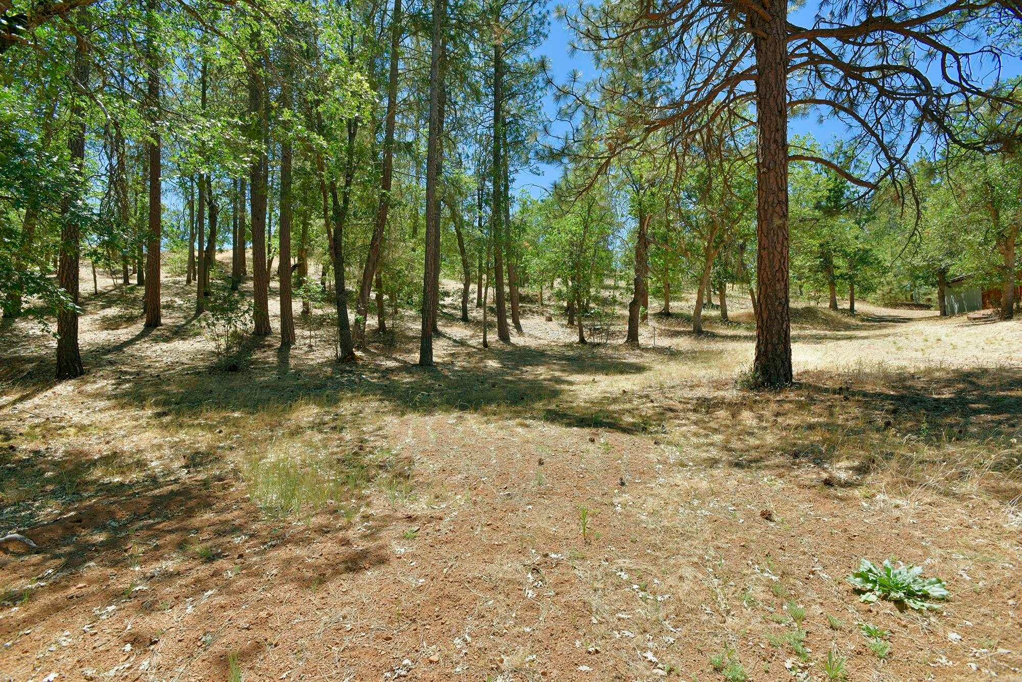 5524 Scott River Road Fort Jones, CA 96032 - Photo 48 of 50 Gallery Image 48