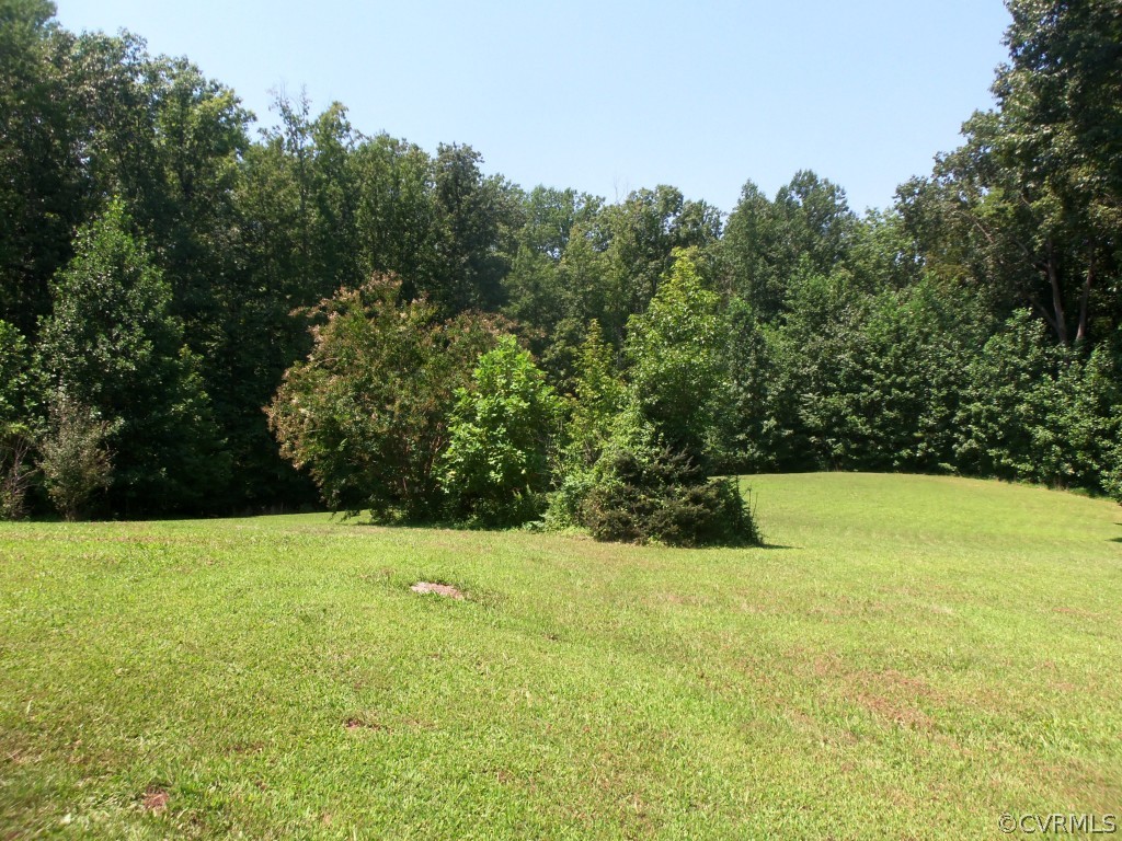 2155 Hunters Mill Road Powhatan, VA 23139 - Photo 3 of 24 Rear yard