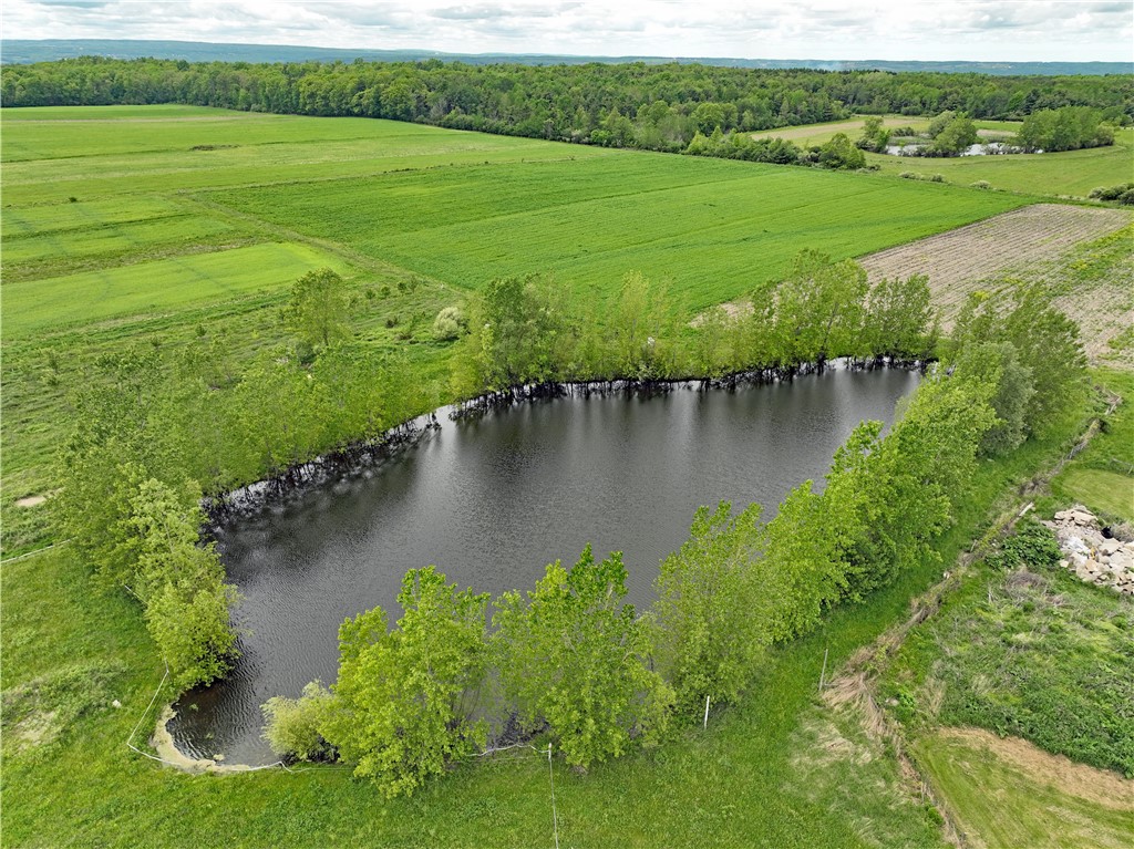 4172 State Route Penn Yan, NY 14527 - Photo 13 of 20