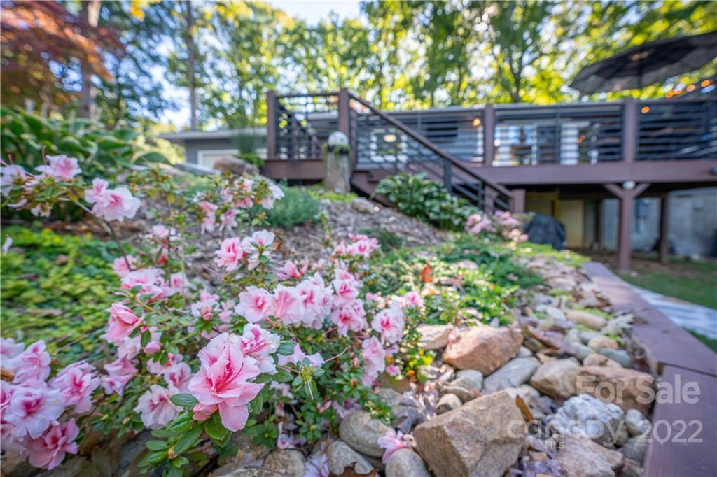56 Rathfarnham Road Asheville, NC 28803 - Photo 43 of 46 Gallery Image 43