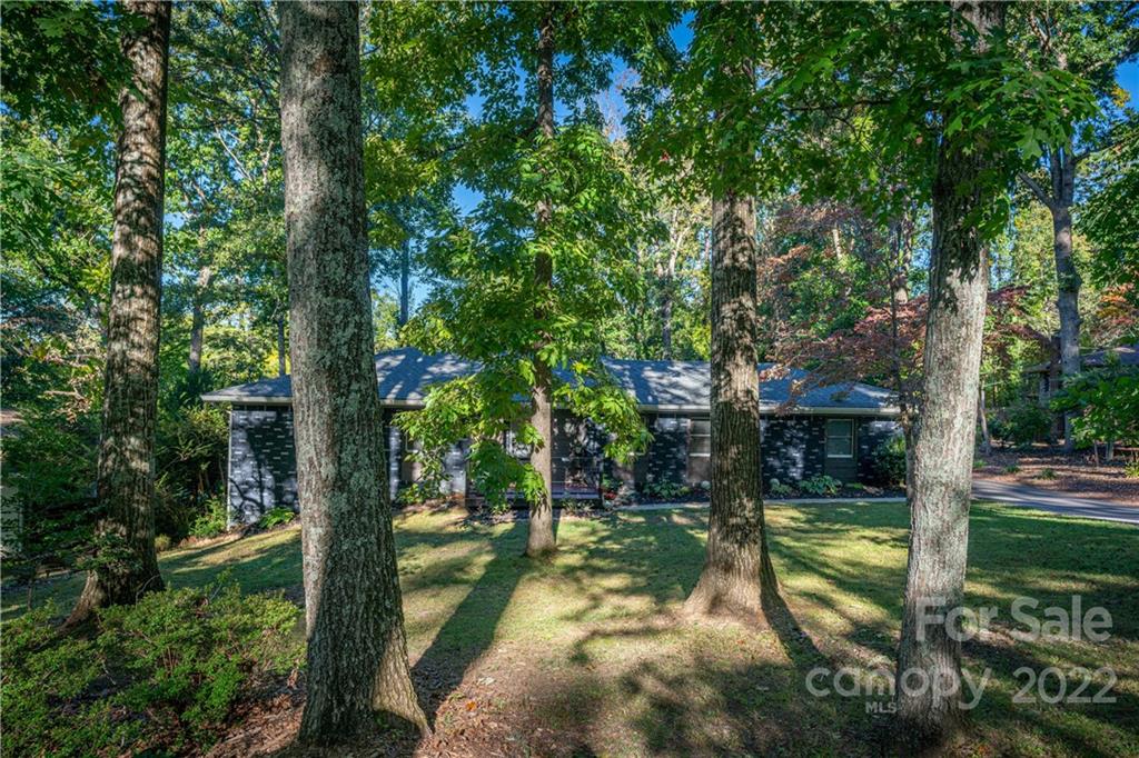 56 Rathfarnham Road Asheville, NC 28803 - Photo 9 of 46 Gallery Image 9