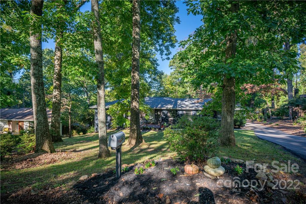 56 Rathfarnham Road Asheville, NC 28803 - Photo 10 of 46 Gallery Image 10